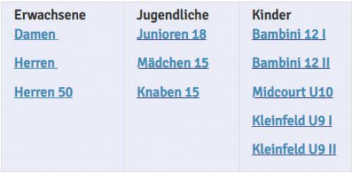 Saison 2023 - 11 Mannschaften im Punktspielbetrieb